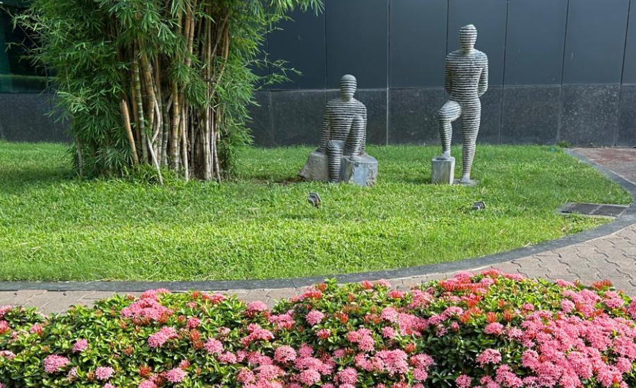 Fish Pond Development and New Seasonal Plants at Embassy TechVillage and Embassy 247